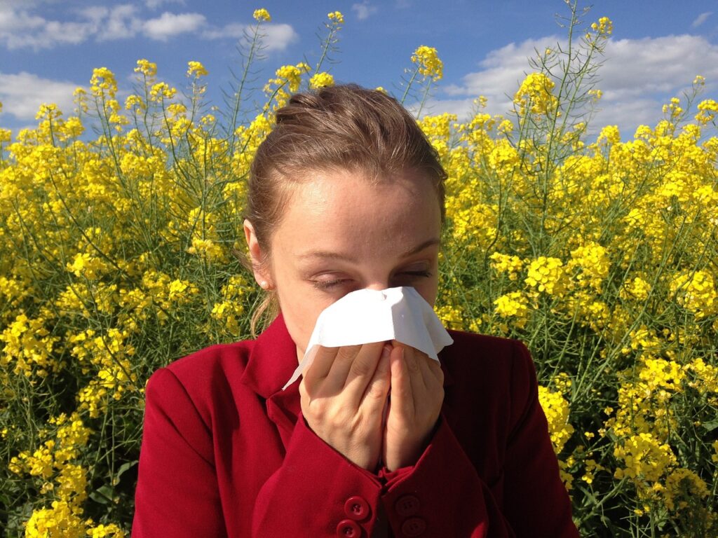 pollen-allergia_pic3
